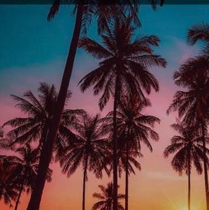 Meet your Posher, Judy